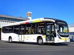 Marcopolo Viale BRS 2013 года